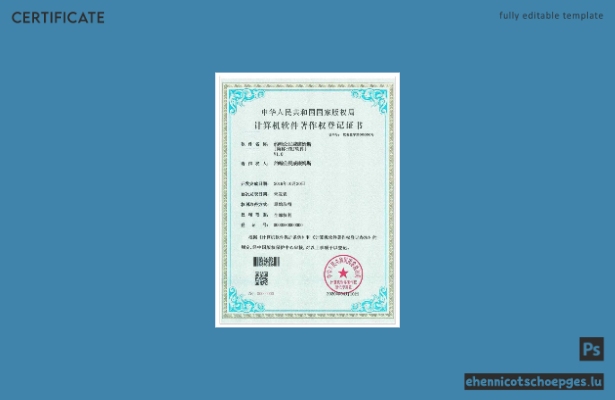 Vorschau eines Beispiels für ein chinesisches Computersoftware-Zertifikat